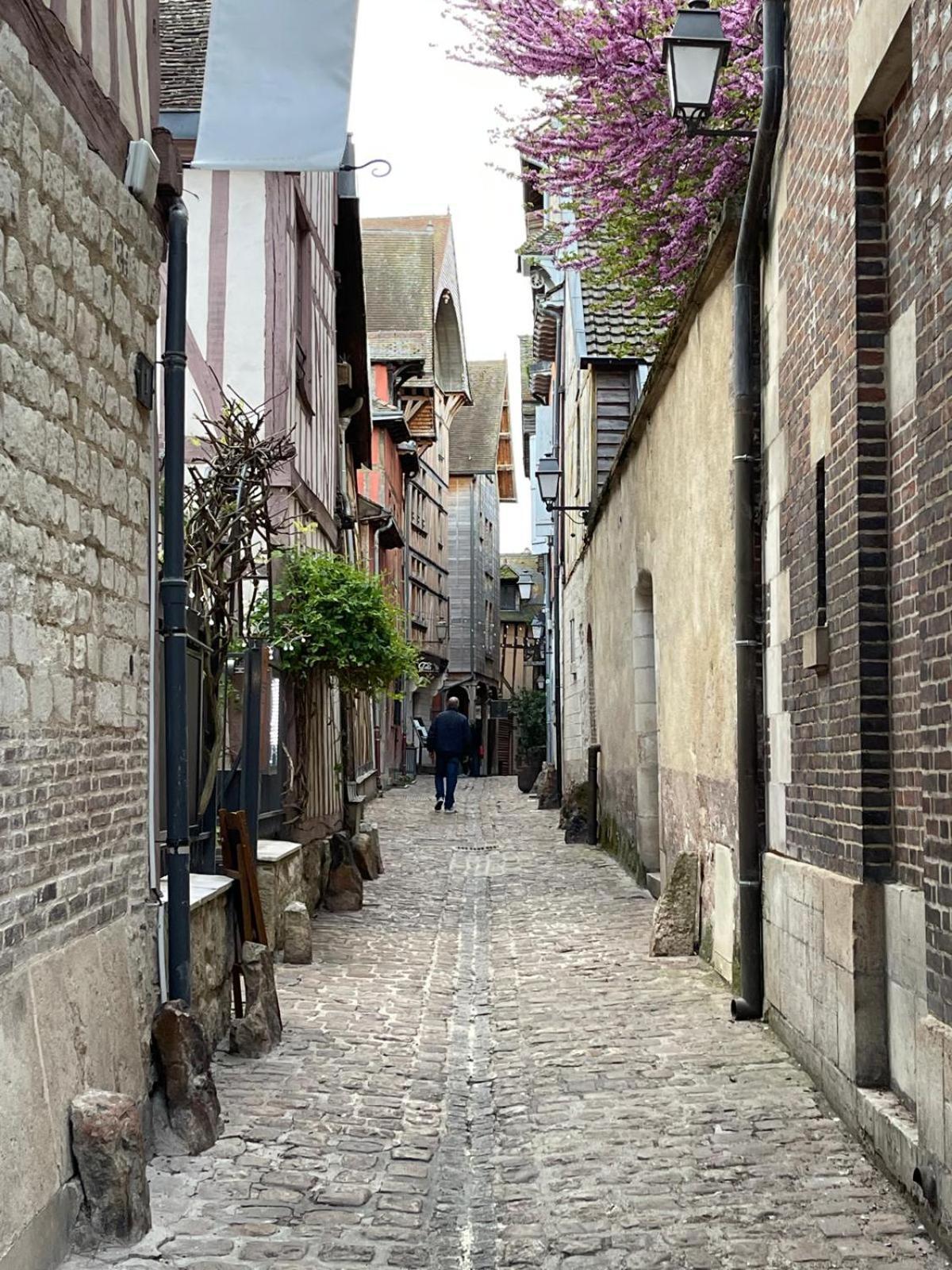 Un Brin De Bonheur Troyes Exterior foto